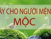 Lựa chọn cây trồng cho người mệnh Mộc