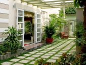 20 Loại Cây Xanh Trong Nhà Giúp Thanh Lọc Không Khí Tốt